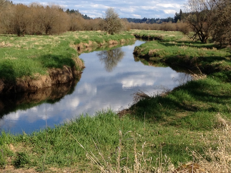 Salmon Creek Trail — Washington Trails Association
